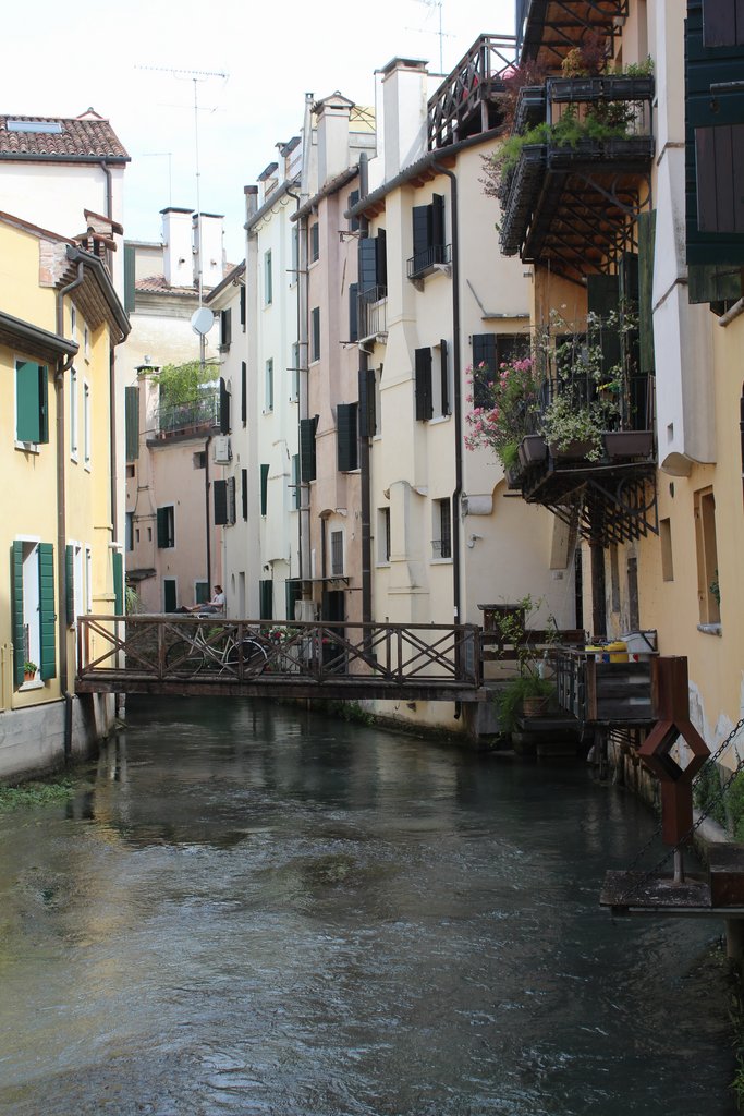 f treviso (37).JPG