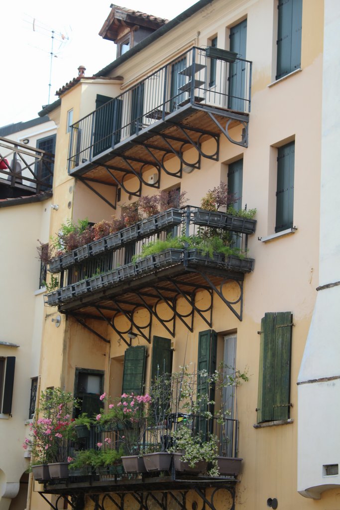 f treviso (38).JPG