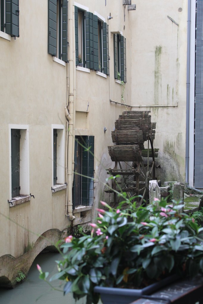 f treviso (4).JPG