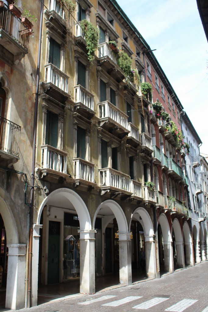 f treviso (40).JPG