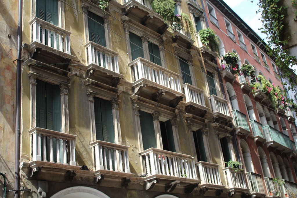 f treviso (41).JPG