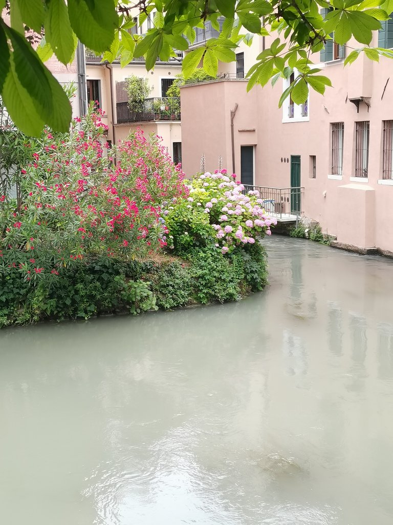 f treviso (51).jpg