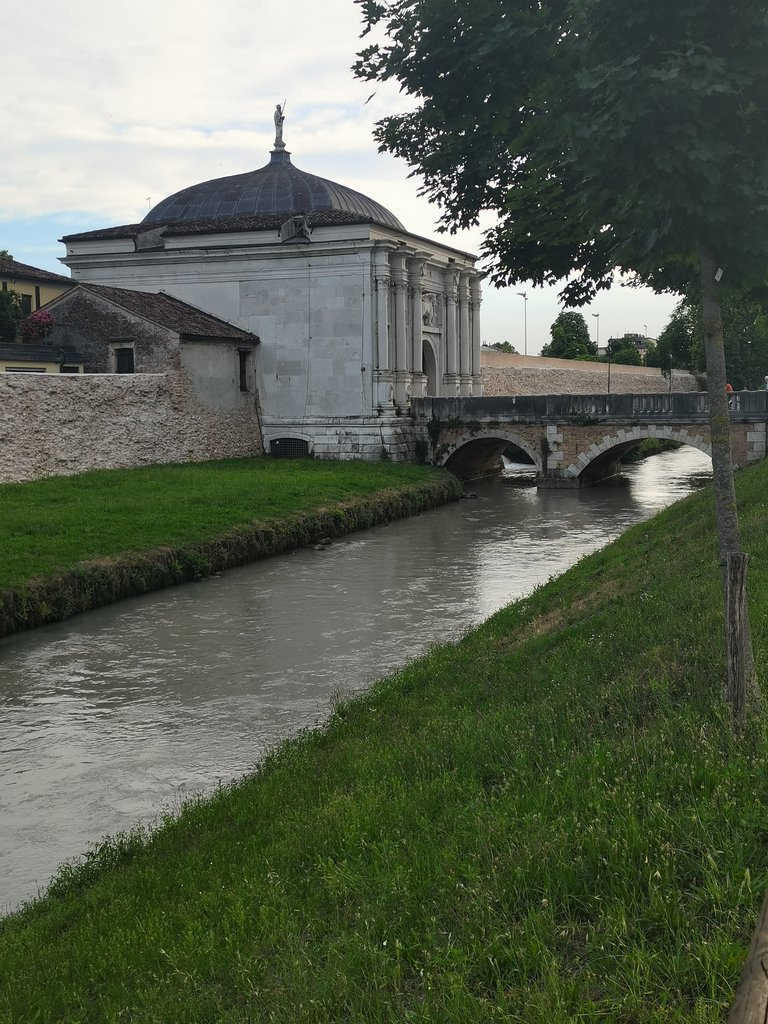 f treviso (54).jpg