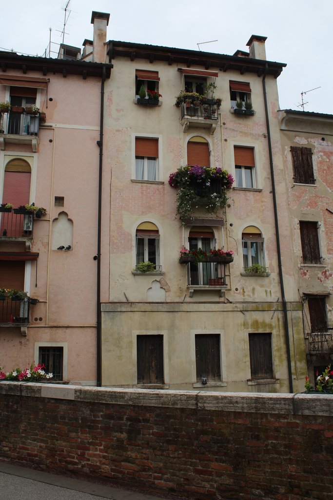 f treviso (8).JPG