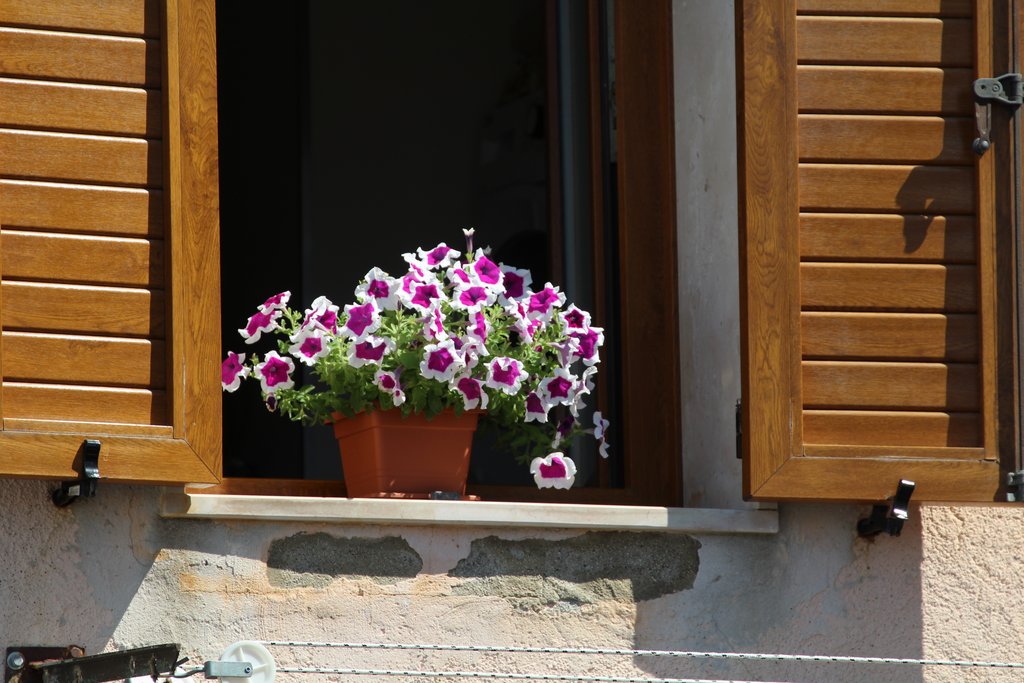h venezia5 pellestrina (19).JPG