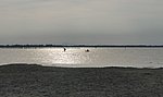 c boschettona (6).jpg