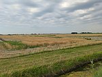 c boschettona - millecampi (5).jpg
