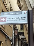 f treviso  (23.jpg