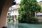 f treviso  (6).JPG