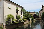 f treviso  (7).JPG