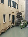 f treviso (104).jpg