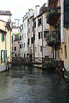 f treviso (37).JPG