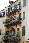 f treviso (38).JPG
