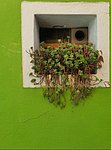 g venezia1 burano (55).jpg