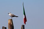 h venezia5 pellestrina (12).JPG
