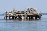 h venezia5 pellestrina (14).JPG