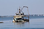 h venezia5 pellestrina (15).JPG