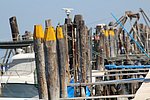 h venezia5 pellestrina (16).JPG